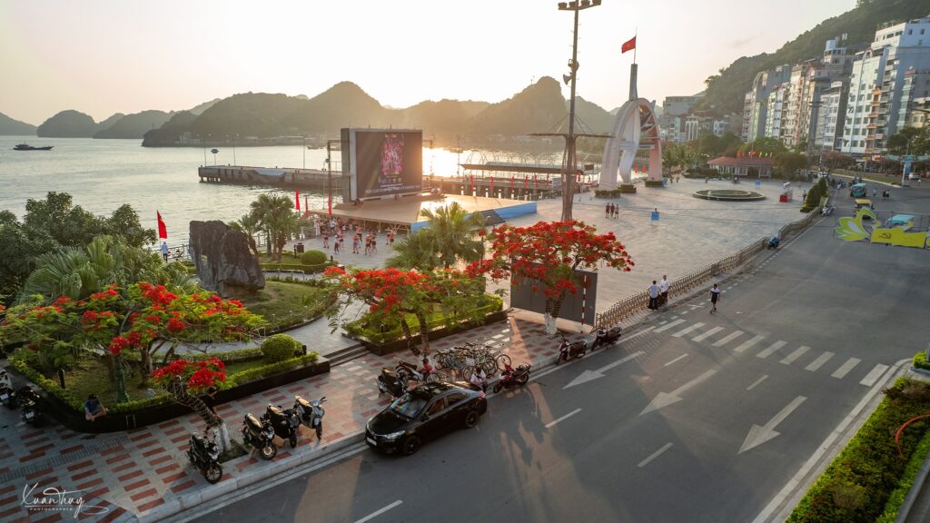 du lá»ch CÃ¡t BÃ 